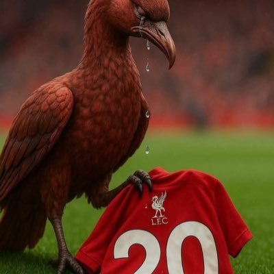 RedFan1965's profile picture. #JFT97 - Racism is encouraged by Grifter Politicians to line own & mates’ pockets Views expressed are STRICTLY my own