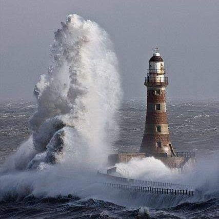 lynnhfxns's profile picture. 