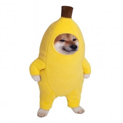 Banana Pointerion π Profile