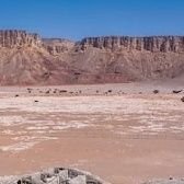 SherkeTeen70451's profile picture. 