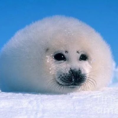 KJさんのプロフィール画像