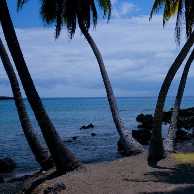 MyBluHorizon's profile picture. My Blu Horizon is dedicated to delivering high-quality videos that bring the beauty and tranquility of nature directly to your Computer
