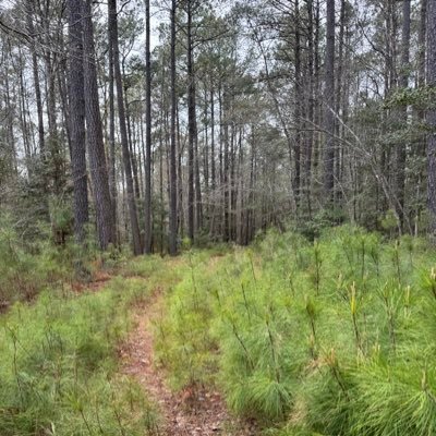 Hiker, mentally ill, animal lover, human advocate, BLM