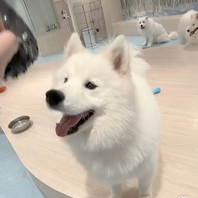 2BNJFxN1Tg29256's profile picture. 