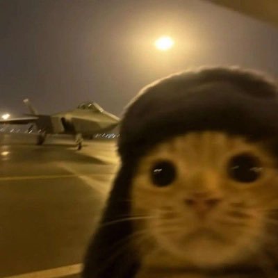 らいさんのプロフィール画像
