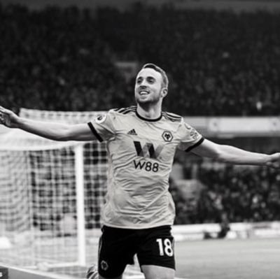 Wolves Fan 🐺🟠⚫️
When skies are grey. She is the only way forward. 💕💕💗❤️🌈@AL1SZTA
A lad from Portugal better than Figo didn't we know. 🐺🕊🕊❤️