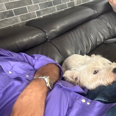 Danilo1782873's profile picture. 