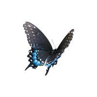 🫧💧 (@blllusss) 's Twitter Profile