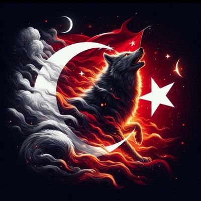 1Kayisilicicek's profile picture. 