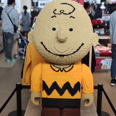 lynyng436533's profile picture. 住台中 男性 單身 性向正常  喜歡交朋友 
討厭欺騙  多看多聽