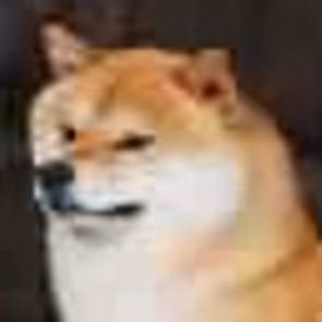 meiyumao2007's profile picture. 