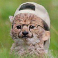 Tangmo (@tangmotmtm) 's Twitter Profile