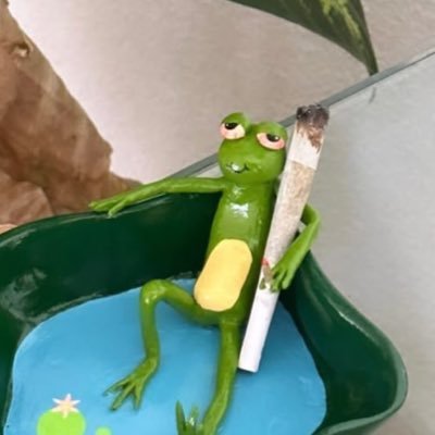 viosukakfc's profile picture. 