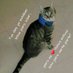 Leo@🐈⬛Lagata2711 (@leolagata2711) Twitter profile photo Leo@🐈⬛Lagata2711 (@leolagata2711) Twitter profile photo