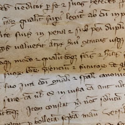 Th_Dm4570's profile picture. 致富光荣