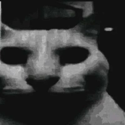 SwissHerbL's profile picture. 