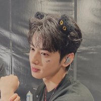 dichi (@gamessilverstar) 's Twitter Profile