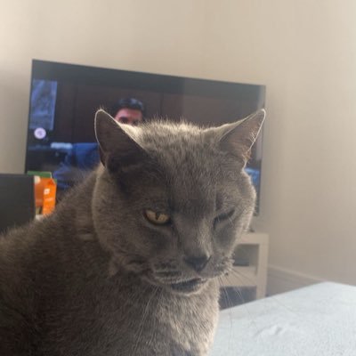 notrestingyet's profile picture. 