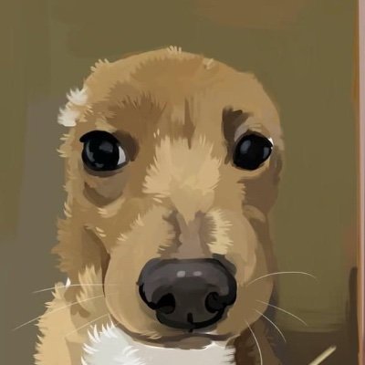 Bassdummie22's profile picture. 30’s, I might be sad but I’m thriving