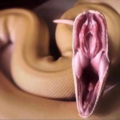 GhhhNaoman871's profile picture. AIを使ったコンテンツ作成やプロンプト力向上のための視座について語る