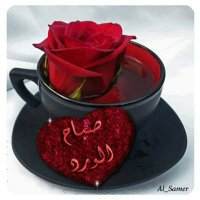 صاحب صاحبه سنجل راقي (@sraqy99424) 's Twitter Profile