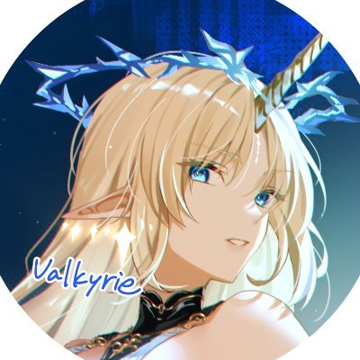 Valkyrieさんのプロフィール画像