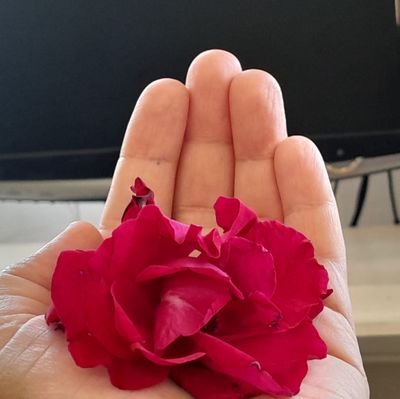 خبرنگار _عکاس////ارشناس ارشد گیاهان دارویی_به یاد 175 غواص شهید استان زنجان فالو=بک اکانت قبلی ساسپند شد