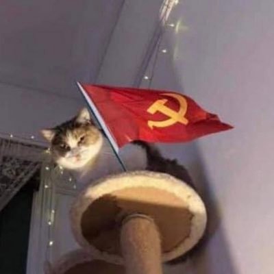 pranav13o1's profile picture. left