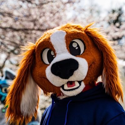 Cas 🔜 FDさんのプロフィール画像