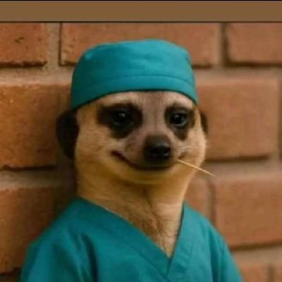 adebusuyi55328's profile picture. A student of Obafemi Awolowo University