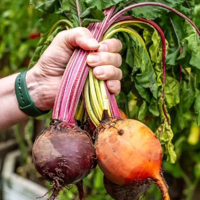 fitomics's profile picture. Not amused