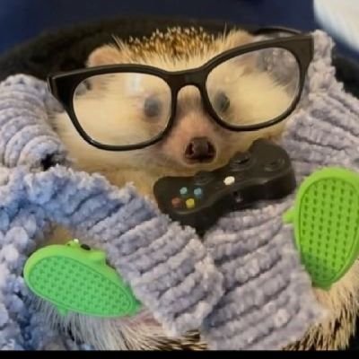 jjvillate23227's profile picture. 