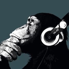 DenzelSale's profile picture. Life is Live.