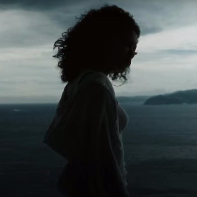 ✗ Profile