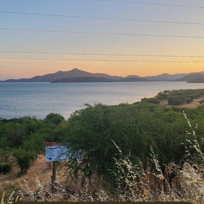 Discoverycha's profile picture. 