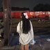 aninn (@anindya_aninn) Twitter profile photo aninn (@anindya_aninn) Twitter profile photo