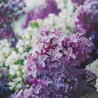 ramos551931's profile picture. hey