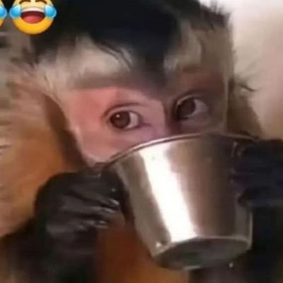 ChidemoLast's profile picture. let's follow each other 🔄🔄🔄