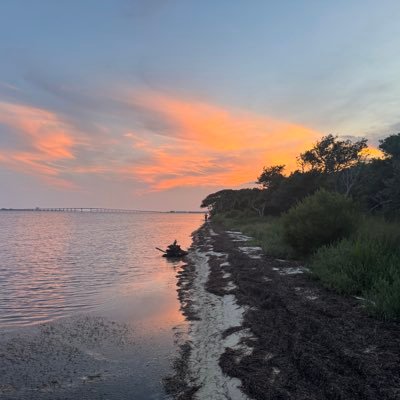 Saenzlogatron's profile picture. win