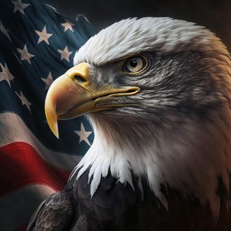 Infowarrior916x's profile picture. I have sworn upon the altar of god eternal hostility against every form of tyranny over the mind of man - Thomas Jefferson
FB @NewsBowne @InfowarsJournal 💪