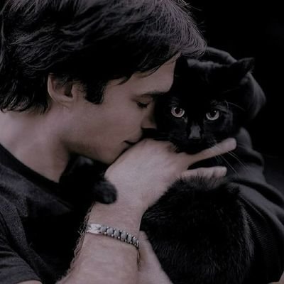 ass kicking vampire/ MS and BI/ Ready pinned below👇👇/Dark themes/ #NotIanSomerhalder/ The awesome Salvatore