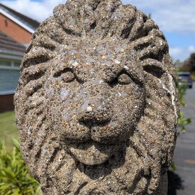 Jammed's profile picture. 🖤 Morned