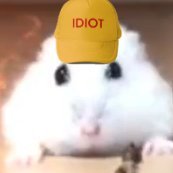 VelvetAmiga's profile picture. He/Him
Fastest Mario
"Artist"