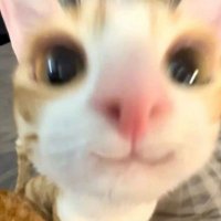 ayaa²⁵ 🍭 (@128yaa) 's Twitter Profile