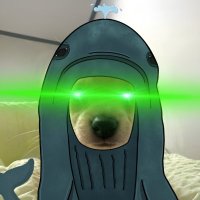 big oyster (@premiumcycle) 's Twitter Profile