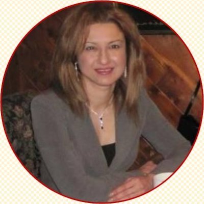 ERP Consultant / Business Systems Analyst / Project Manager