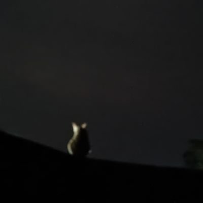 RaniSingh2121's profile picture. 💯💯💯💯💯💯💯💯💯💯💯💯💯💯💯💯💯💯💯💯% follow back instant