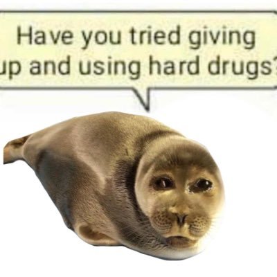 roefishegg's profile picture. hi im roe fisheggs | 22 | previously @ltwilliamhavers but i got banned :(