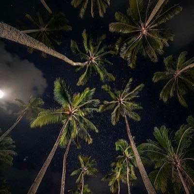 Medical Intern |#IMC440 | وَلَسَوْفَ يُعْطِيكَ رَبُّكَ فَتَرْضَى https://t.co/qcLffSJ7uc