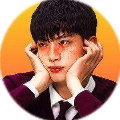princess seokjin luvr & bangtan + animanga • rt heavy